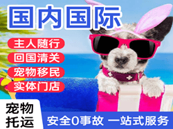 安阳红旗渠机场货运国际宠物托运 【国